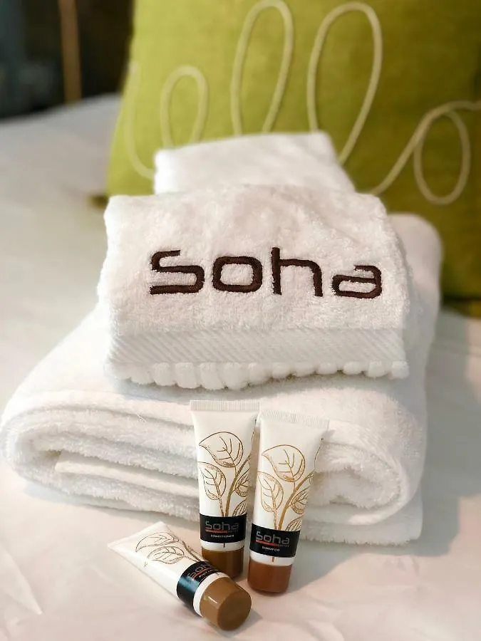 سانتياغو دي لوس كاباليروس Soha Suites II Apt C1 شقة فندقية