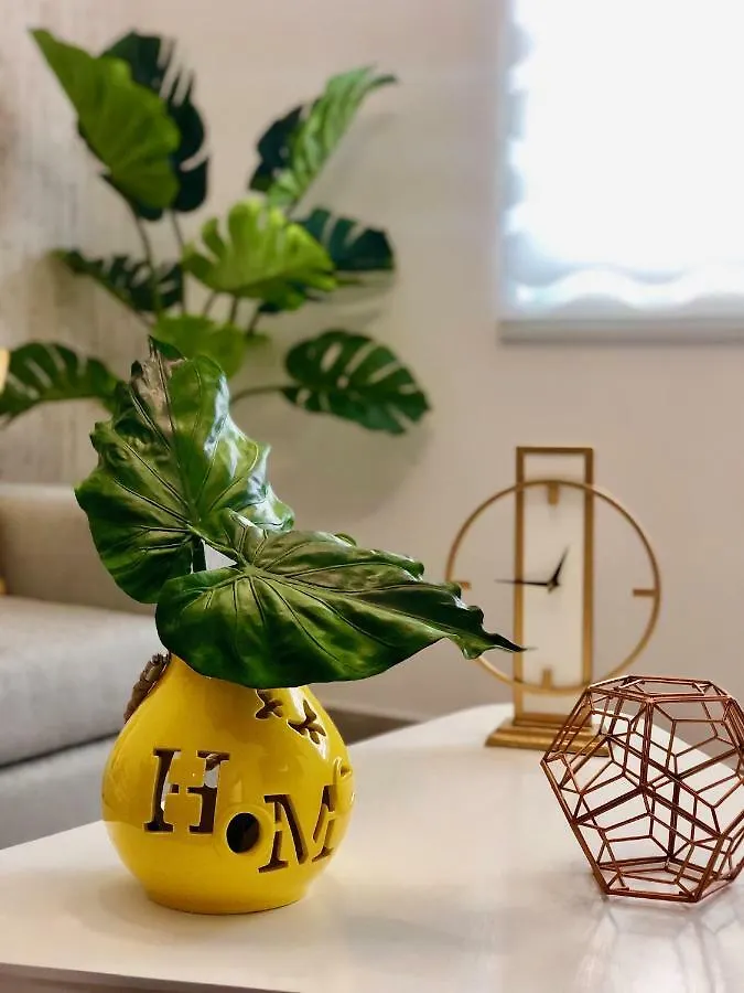 سانتياغو دي لوس كاباليروس Soha Suites II Apt C1